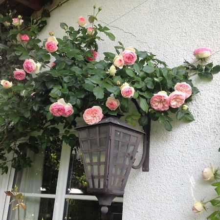 Villa Le Petit Val Rose Villennes-sur-Seine Exterior foto